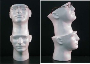 double headdisplay glasses