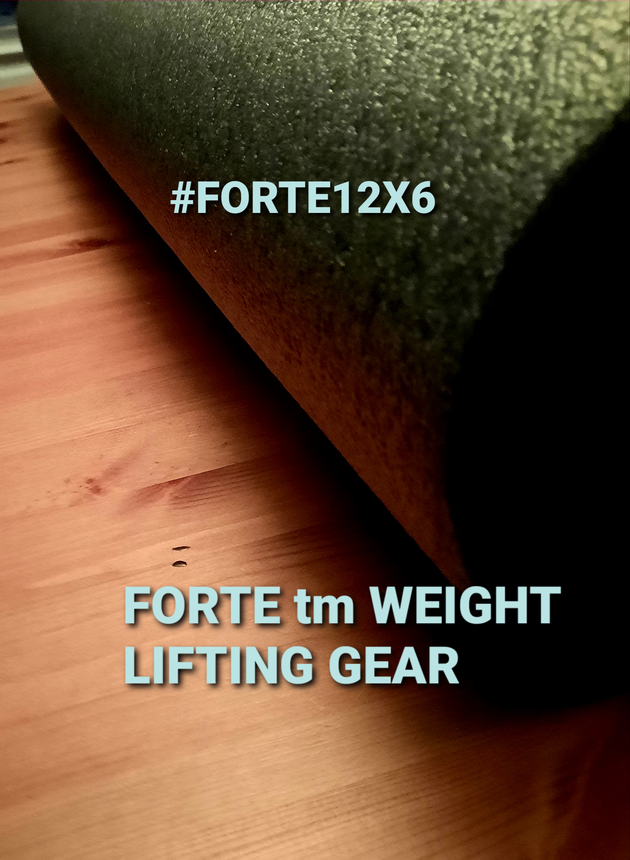 FORTE tm WEIGHT LIFTING GEAR LEG EXERCISE ROLLERS #FORTE12X6