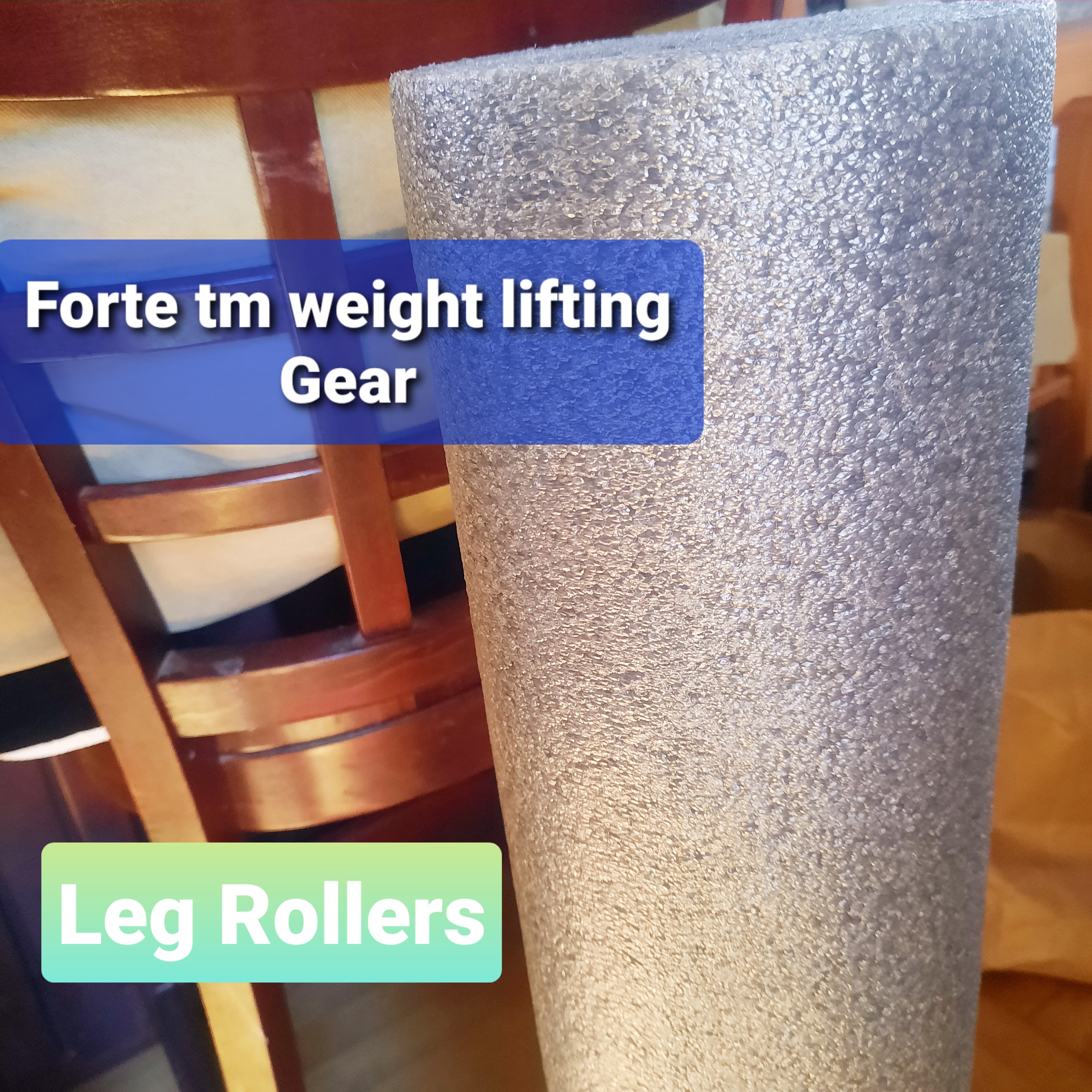FORTE tm WEIGHT LIFTING GEAR LEG ROLLERS #,FORTE