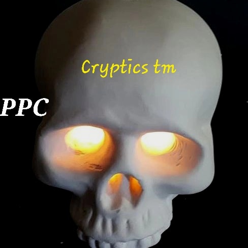 Plaster Skull. 7" L x 5" W x 5.5" H. PPC Cryptics tm MADE IN THE USA